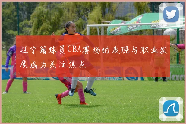 辽宁籍球员CBA赛场的表现与职业发展成为关注焦点