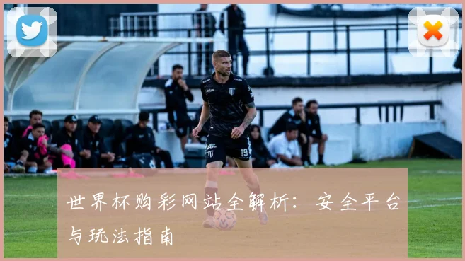 世界杯购彩网站全解析:安全平台与玩法指南