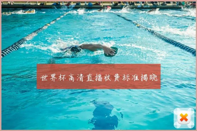 世界杯高清直播收费标准揭晓