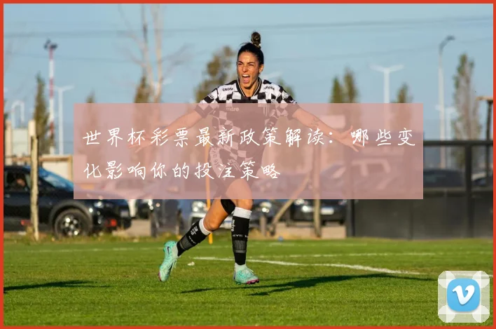 世界杯彩票最新政策解读：哪些变化影响你的投注策略
