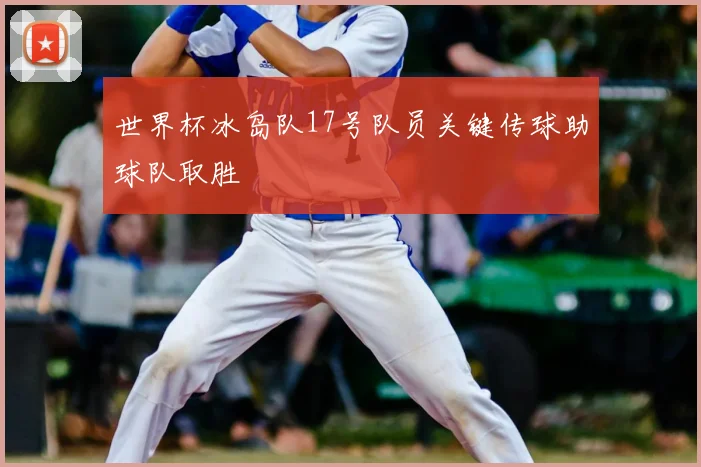 世界杯冰岛队17号队员关键传球助球队取胜