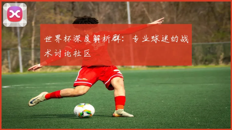世界杯深度解析群：专业球迷的战术讨论社区