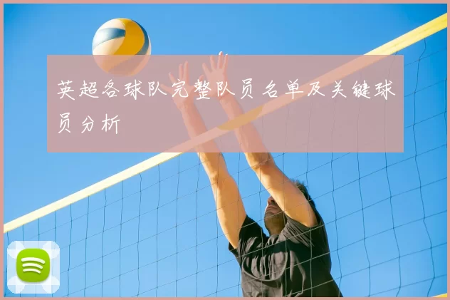 英超各球队完整队员名单及关键球员分析