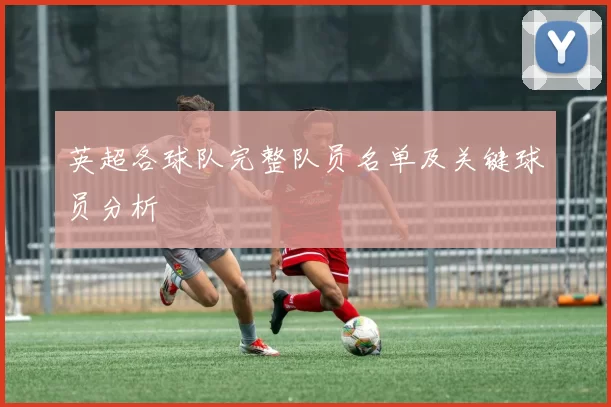 英超各球队完整队员名单及关键球员分析