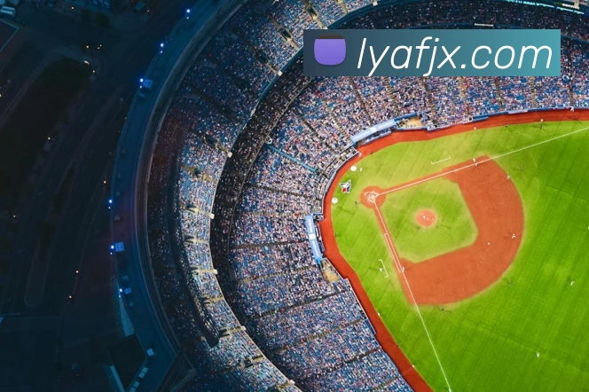 华体会手机网页版平台生态图