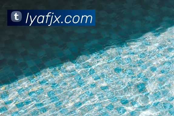 华体会手机网页版全站App